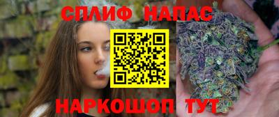 мдпв Тара