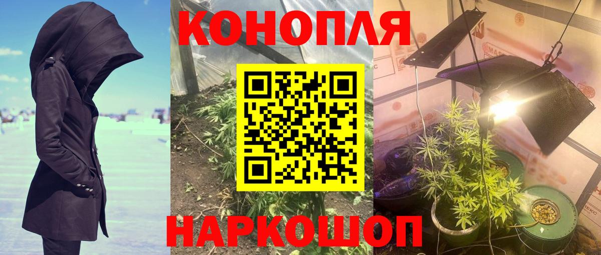 Бошки марихуана SATIVA & INDICA  Вход с VPN  Конопля White Widow  Нальчик  Марихуана Bruce Banner 